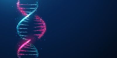 a 3d illustration of a DNA molecule with one strand in blue and the other in red. Part of the red strand has been separated from the rest of the molecule. The strands are composed of many small lines connecting to dots with additional glowing dots surrounding the molecule, all on a dark blue background.
