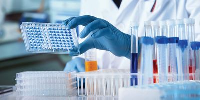 Scientist holding a microplate