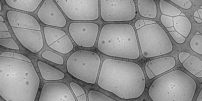 Close-ups of a drug imaged with an electron microscope