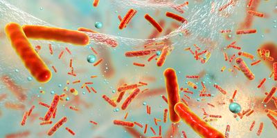 a 3d illustration of orange tube-shaped bacteria inside a clear gel with blue bubbles dispersed throughout, representing a bacterial biofilm