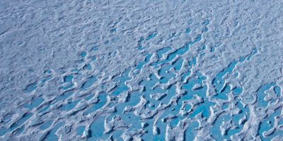 Melt water on sea ice