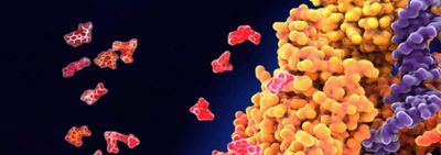 Effects of ionizable and non-ionizable excipients on lyophilized RNA formulations using FTIR-ATR technology