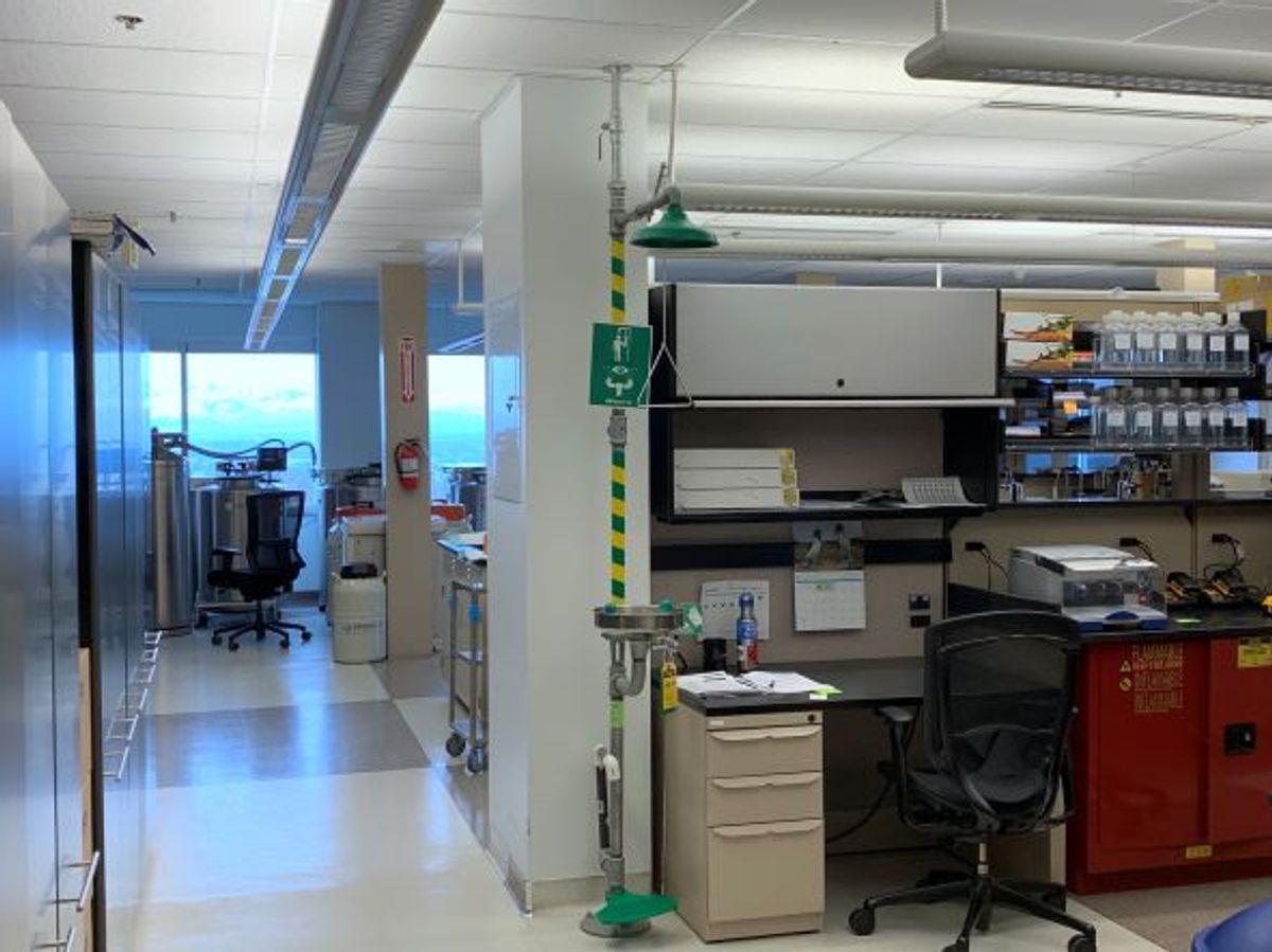 Predictive Biotech - Predictive Biotech’s research and product development laboratory. Predictive Biotech - Predictive Biotech’s research and product development laboratory.