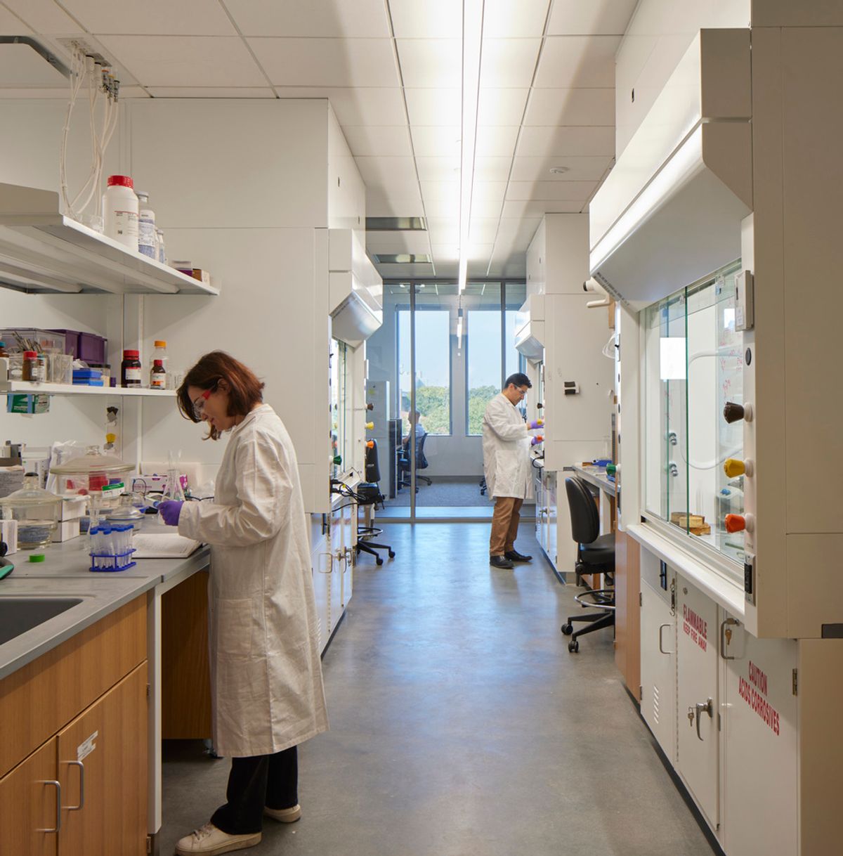 Scientists work in a lab Scientists work in a lab