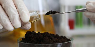 hands in white lab gloves scoop dark brown soil out of a petri dish and into a test tube